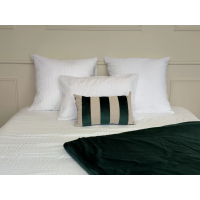 Infroissable - non repassable